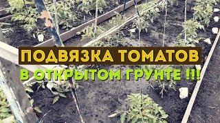 Подвязка томатов крупноплодных, высокорослых сортов!!!