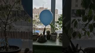 10 апреля 2025 г.