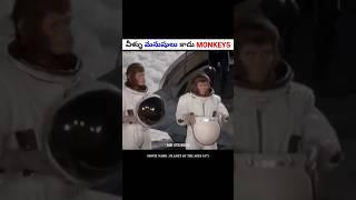 వీళ్లు మనుషులు కాదు Monkeys | Movie explained in Telugu | #shorts