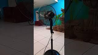 How To Pick a Good Fan in Nicaragua