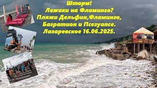 Шторм! Лежаки на Фламинго? Пляжи Дельфин, Фламинго, Багратион и Псезуапсе!ЛАЗАРЕВСКОЕ 16.06.2025