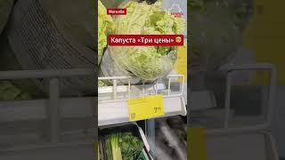 Житель #могилёв обратил внимание что одна и та же капуста стоит по разному  Как такое может быть?