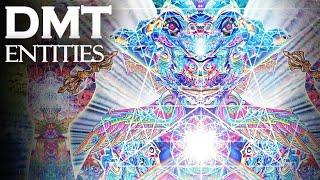 The Unsolved Mystery of DMT "Entity Encounters"