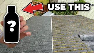 DIY ROOF CLEANING- Pros Don’t Want You to Know This!!!