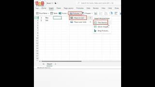 ️How to Insert Picture in excel 365 |How to Insert Photo in Excel|How to insert image in excel cell
