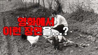 (요청작) 이건 너무 막장 아닐까 / 영화 [인간과 돼지] 파헤치기