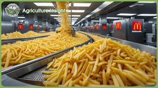 Inside French Fries Mega Factory | Amazing Potato Processing Technology