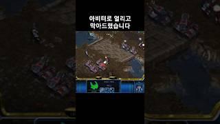 아비터로 얼리고 막아드렸습니다 #스타크래프트 #프로토스 #래더 #빌드 #아비터 #전략