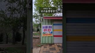 예약없이 가는 저렴한 보리울캠핑장 장박이 가능해진 짤 정보(번호)|베스트 차박캠핑 노지캠핑 장소