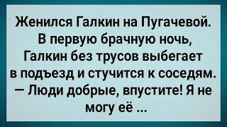 Как Галкин На Пугачевой Женился! Первая Брачная Ночь! Сборник Свежих Анекдотов! Юмор!