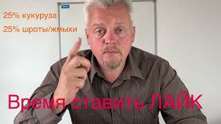 Простой секрет комбикорма для коров: Открываем тайну производства