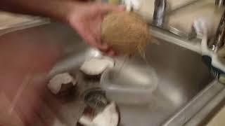 How to open a coconut