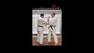 vDojo Snippet: Pinan Sandan Applications