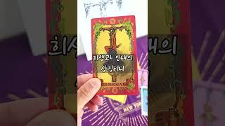 12번 매달린남자 the hanged man #타로배우기  #타로카드배우기 #tarot