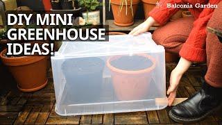 4 Cheap And Easy Mini DIY Greenhouse Ideas! For Small Gardens | Balconia Garden