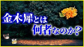 【ゆっくり解説】金木犀にまつわる噂の真相は…⁉️「金木犀」とは何者なのか？を解説/祖先は銀木犀⁉️秋の香りのキンモクセイ