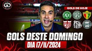 ️ TODOS OS GOLS DESTE DOMINGO 17/11/2024 GOLS DE HOJE, GOLS DO DIA, GOLS DO BRASILEIRÃO (COMPLETO)