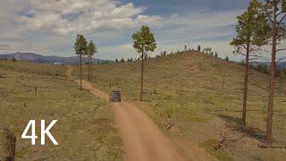 Crossons Ghost Town. Bailey, CO. Group. #141