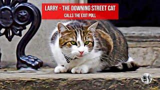 Larry - The Downing Street Cat, calls the Exit Poll