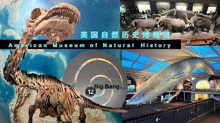 V20 ~ 美国自然历史博物馆American Museum of Natural History, 热门电影"博物馆奇妙夜"的取景地/世界上浏览人数最多的博物馆之一/对宇宙的广阔和复杂感到深深的敬畏