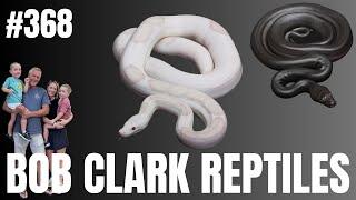 The Legacy Of Bob Clark Reptiles