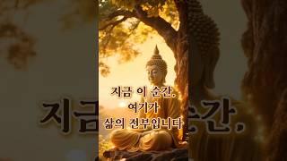 《지금 이 순간이 삶의 전부입니다》 마음의 평화를 되찾는 연습 | 마음이 괴로울 때#마음챙김 #부처님말씀 #명상 #내려놓음 #마음공부 #부처님명언
