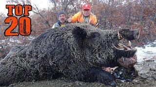 TOP 20 AMAZING WILD BOAR HUNTS, BEST HUNTING SCENES, Unforgettable moments, hog, pig, wild life