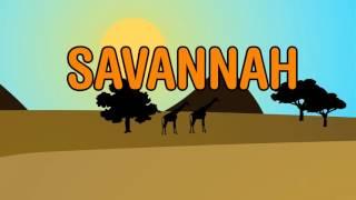 Diviners - Savannah (feat. Philly K) [Official Lyric Video]