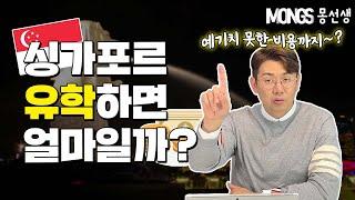 싱가폴유학 비용 총 정리! (대학 학비/생활비/숙소비)