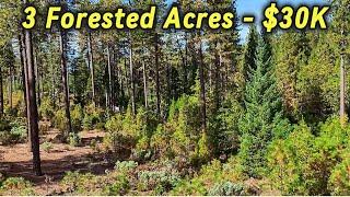 Acreage For Sale in California - Forested Land - Off Grid Homesite