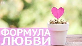 Фен Шуй для любви: формула любви для долгого и счастливого брака от Н. Правдиной. Все по Фен Шуй