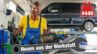 DESASTER am VW T6!!  | Wie aus einem Zischen ein skandalöser Motorschaden wurde!!  Live-Diagnose!