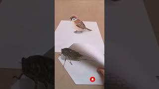 easy drawing for beginners step by ste #art#pencildrawing#drawingtutorials#howtodraw#drawingshorts