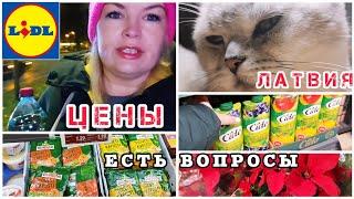 Латвия Мои находки в Лидл Цены на товар Какую работу предложили ? #lidl  Азия в Магазине #latvia