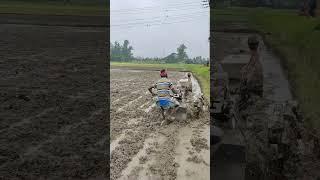 Mini Power Tiller and Cultivator with Plough #powertiller #tractor #agriculture