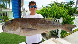 How To Fillet Blueline Tilefish!!