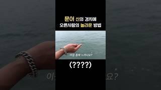 문어낚시 이런방법도 보신분??!