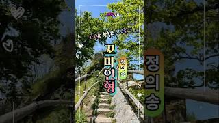 꼬마인형 정의송