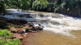Pesca y Aventura en Arroyos de Misiones Argentina | Mojarras Fritas y Naturaleza