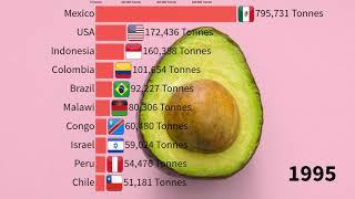The Biggest Avocado Producing Countries In The World | Avocados