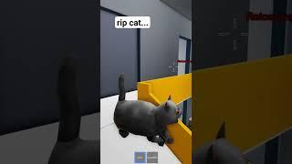 Nooo cat... #roblox #shorts #scp