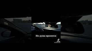 Опять я под шофе, под 200 на шоссе, я проклинаю жизнь.