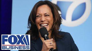 Voters share how they feel about Kamala Harris: 'I think she's an idiot'