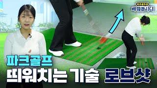 파크골프 띄워치는 로브샷 - 이렇게만 따라하세요 초보도 쉽게 가능합니다!