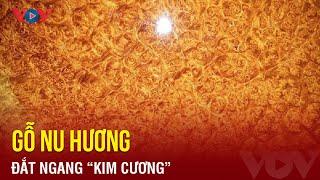 Vì sao gỗ nu hương lại đắt ngang “kim cương”? | Báo Điện tử VOV
