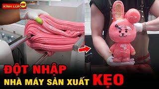  Đột Nhập Nhà Máy Sản Xuất 6 Loại Kẹo Nổi Tiếng Nhất Khiến Triệu Người Thèm Nhỏ Dãi | Kính Lúp TV