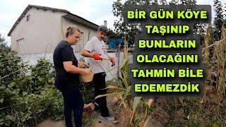 BİR GÜN KÖYE TAŞINIP BUNLARIN OLACAĞINI TAHMİN BİLE EDEMEZDİK - HERŞEY YAVAŞ YAVAŞ GERÇEK OLUYOR.