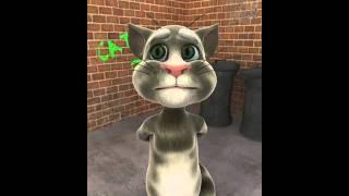 TalkingTom2.mp4