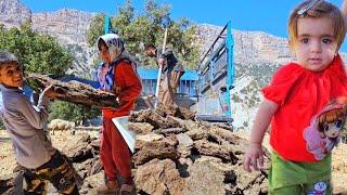 nomadic life :Cleaning the place of sheep for comfort in winter