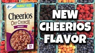 Cheerios Oat Crunch BERRY Review and Reaction | Super Cereal Sunday